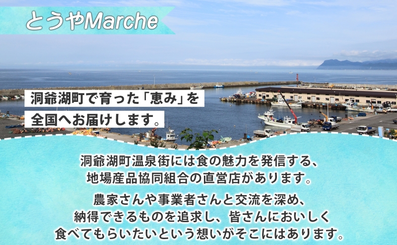 北海道産 活ほたて 2年貝 約 2kg 15枚～22枚 2026年1月中旬～2月上旬頃お届け 殻付き 貝付き 帆立 ホタテ ほたて 貝 魚介 海産 海鮮 貝柱 噴火湾 刺身 焼き フライ 生産者支援 産地直送 送料無料 魚介類 魚貝類 