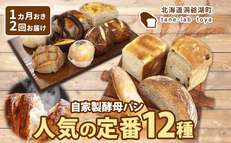 自家製酵母パン 人気の定番セット Lサイズ 1ヵ月おきに2回お届け 小分けパック