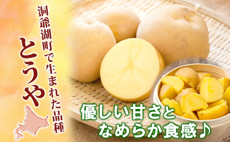 ããããã2çš®ã»ãã èš20kg ãšãã ç·çµ 2025幎9æäžæ¬ïœ12æäžæ¬ãŸã§ãå±ã ãžã£ã¬ã€ã¢ è çã ãã¯ã㯠ããã ã«ã¬ãŒ èª¿ç æç ç
®èŸŒã¿æç æ¬ éè ãåãå¯ã åæµ·é æŽçºæ¹çº