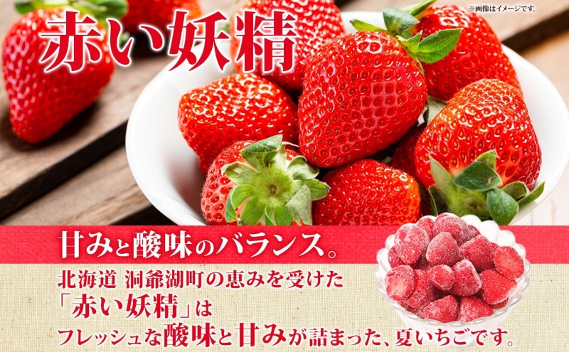 役に立ちます！冷凍カット果物2種( ブルーベリー100g×2袋＆いちご100g×3袋) 9月初旬よりお届け 果物詰合せ フルーツ 果物類 冷凍 カット 果物 小分け 時短 弁当 簡単 調理 便利  国産 北海道 洞爺湖町