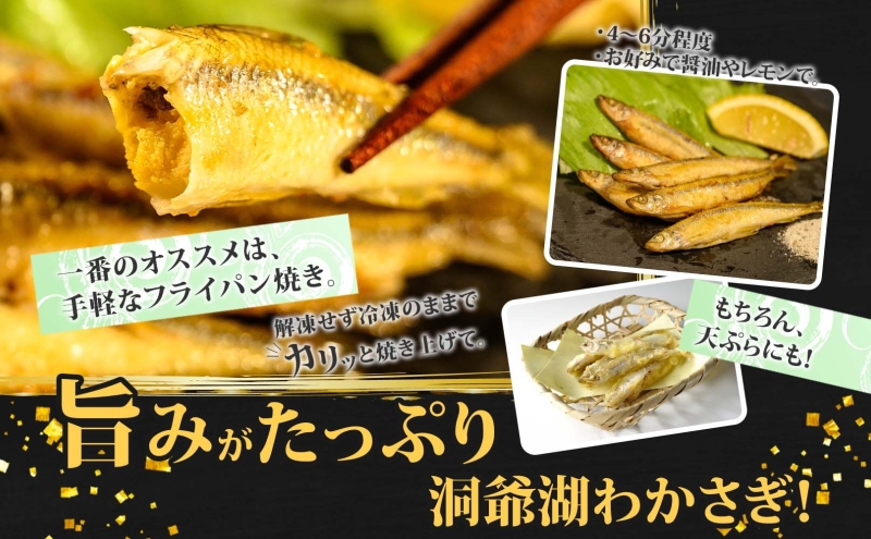 洞爺湖町産 黄金のわかさぎ 18尾×2P 計36尾 北海道産 ワカサギ わかさぎ 川魚 魚介類 産地直送 冷凍 お取り寄せ グルメ 料理 天ぷら フライ とうやマルシェ 北海道 洞爺湖町