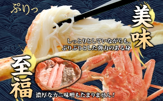 北海道 噴火湾産 ボイル オオズワイガニ 3杯 数量限定 2025年8月～10月末までお届け 大ズワイ カニ 蟹 かに 北海道産 ずわい 鍋 海鮮 てっぽう汁 お取り寄せ グルメ 冷凍 洞爺湖町 とうやマルシェ