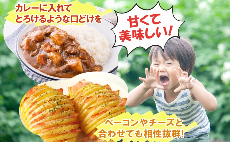 ããããã ãšãã 10kg 2025幎9æäžæ¬ïœ12æäžæ¬ãŸã§ãå±ã ãžã£ã¬ã€ã¢ è çã ãã¯ã㯠ãªããã ããã ã«ã¬ãŒ èª¿ç æç ç
®èŸŒã¿æç æ¬ éè ãåãå¯ã åæµ·é æŽçºæ¹çº