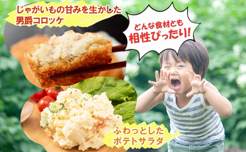 男爵 10kg 2025年9月上旬～12月中旬までお届け ダンシャク コロッケ ジャガイモ 芋 甘い ホクホク ポテト カレー 調理 料理 煮込み料理 旬 野菜 お取り寄せ 北海道 洞爺湖町