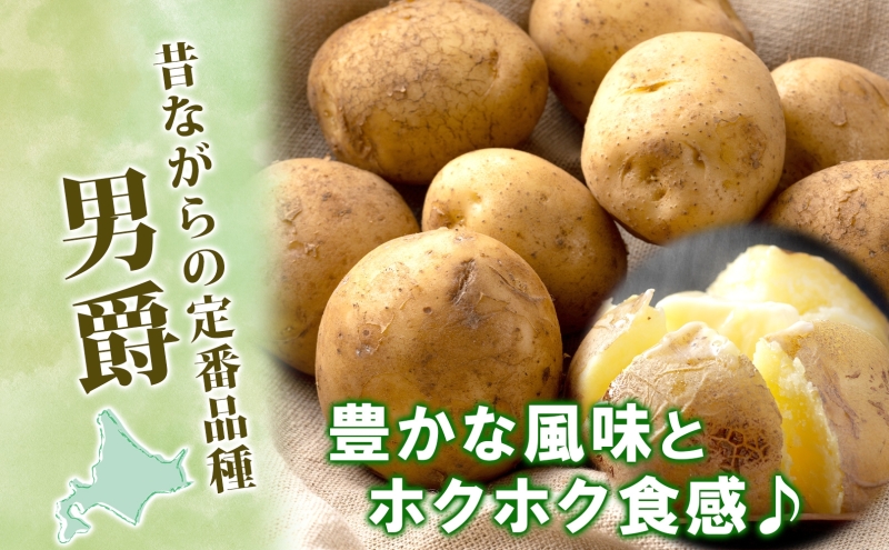 じゃがいも2種セット 計20kg とうや 男爵 2025年9月上旬～12月中旬までお届け ジャガイモ 芋 甘い ホクホク ポテト カレー 調理 料理 煮込み料理 旬 野菜 お取り寄せ 北海道 洞爺湖町
