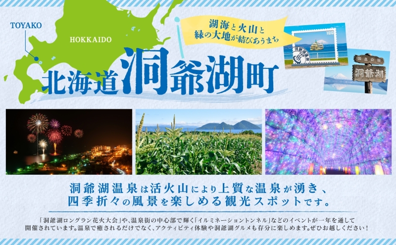 無地熨斗 オリジナルフィナンシェギフト 8個入り フィナンシェ 焼菓子 焼き菓子 お菓子 デザート おやつ スイーツ クルミ くるみ くるみフィナンシェ ブルーベリー ブルーベリーフィナンシェ お取り寄せ 送料無料 北海道 洞爺湖町
