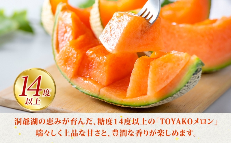 TOYAKOメロン 2玉 計4.8kg～5.4kg 2026年9月下旬～10月中旬お届け 先行予約 北海道産 メロン レッド113 糖度14度以上 赤肉 フルーツ 果物 旬 デザート 国産 贈り物 常温 今村農園 北海道 洞爺湖町 