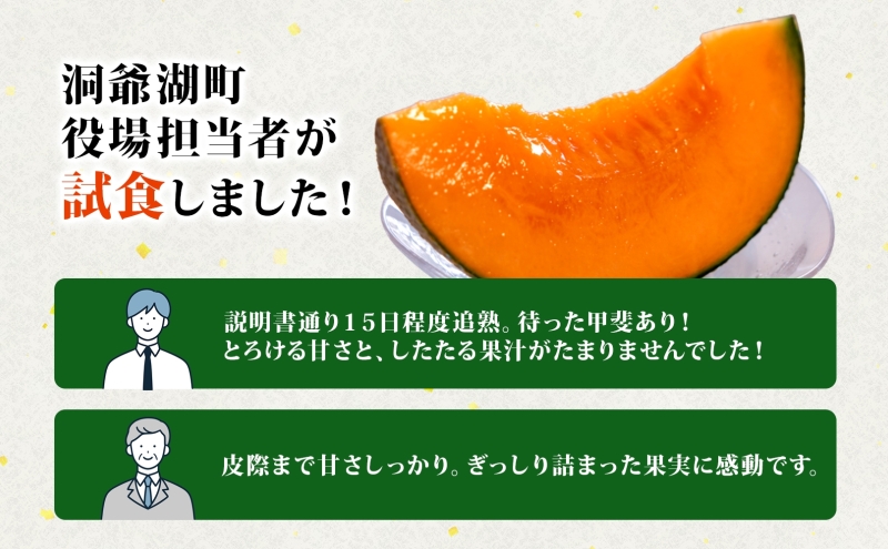 TOYAKOメロン 2玉 計4.8kg～5.4kg 2026年9月下旬～10月中旬お届け 先行予約 北海道産 メロン レッド113 糖度14度以上 赤肉 フルーツ 果物 旬 デザート 国産 贈り物 常温 今村農園 北海道 洞爺湖町 