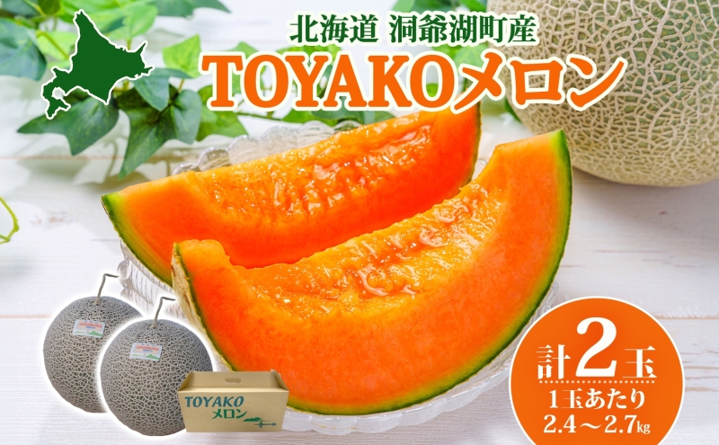 TOYAKOメロン 2玉 計4.8kg～5.4kg 2026年9月下旬～10月中旬お届け 先行予約 北海道産 メロン レッド113 糖度14度以上 赤肉 フルーツ 果物 旬 デザート 国産 贈り物 常温 今村農園 北海道 洞爺湖町