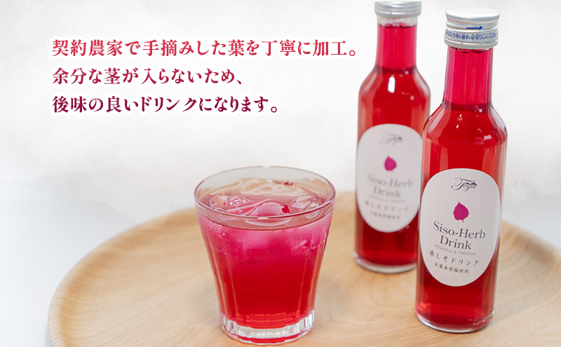赤しそドリンク 180ml×24本  北海道 とうやの 赤しそ シソ しそ 大葉赤紫蘇 ストレート 手詰み 産地直送 ピュアフーズとうや 送料無料 清涼飲料水 しそ飲料 洞爺湖