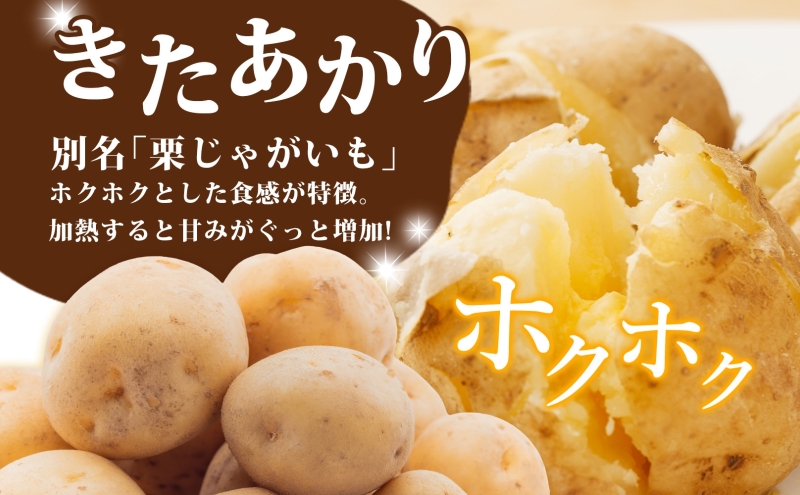 R8年産 先行受付 じゃがいも きたあかり 5kg 2026年9月下旬より順次出荷 栗じゃがいも ホクホク 甘い ポテトサラダ コロッケ 産地直送 お取り寄せ 国産 小野寺農園 北海道 洞爺湖町
