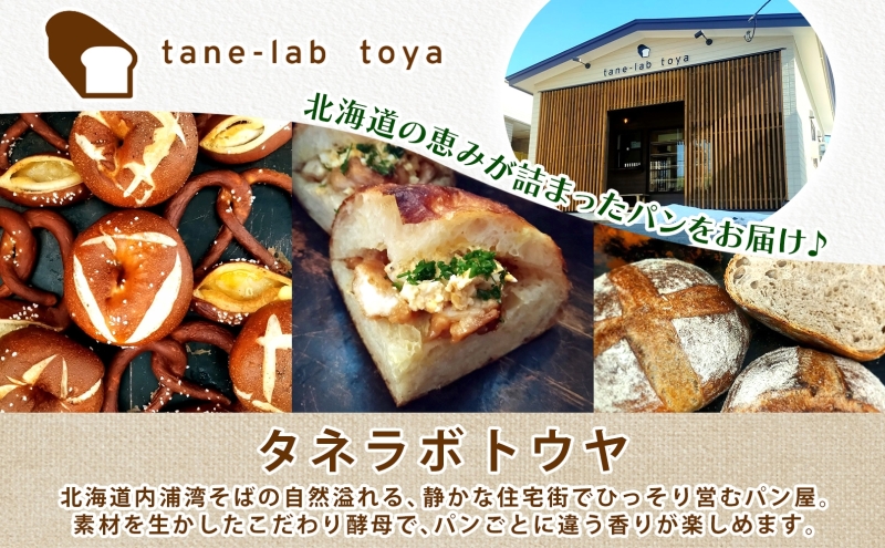 厚焼き フォカッチャ オリーブオイル×塩 1ホール パン 北海道産 小麦 自家製酵母 惣菜パン 菓子パン 朝食 軽食 手づくり 自家製 酵母 ベーカリー オリーブオイル 塩 冷凍 北海道 洞爺湖町