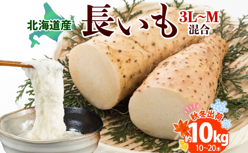 北海道産 長いも 秋冬出荷 約10kg 2025年11月中旬～2026年3月下旬お届け 長芋 ながいも とろろ 農作物 野菜 新鮮 根菜 新物 山かけ 産地直送 お取り寄せ 送料無料 冷蔵 北海道 洞爺湖町