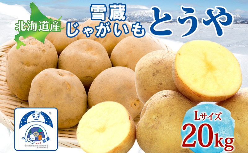 雪蔵じゃがいも 20kg とうやＬサイズ 2026年3月上旬～3月末までお届け ジャガイモ 芋 甘い なめらか しっとり ポタージュ カレー 調理 料理 煮込み料理 雪蔵 旬 季節 農作物 野菜 根菜 北海道 洞爺湖町