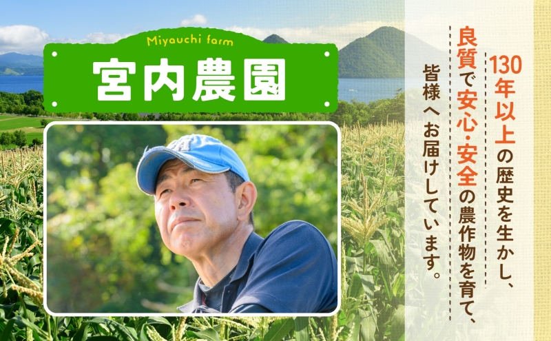 北海道産 ななつぼし 5kg  9月中発送可 財田米 たからだ米 お米 米 精米 北海道米 ご飯 ごはん ライス ブランド米 国産米 白米 ギフト お取り寄せ 産地直送 宮内農園 送料無料 北海道 洞爺湖町