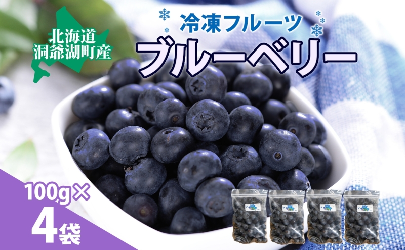 北海道産 ブルーベリー 100g×4袋 果物 果実 くだもの 冷凍食品 おやつ デザート ジュース ヨーグルト ジャム スイーツ 簡単 便利 一人暮らし 小分け 製菓 送料無料 冷凍 北海道 洞爺湖町