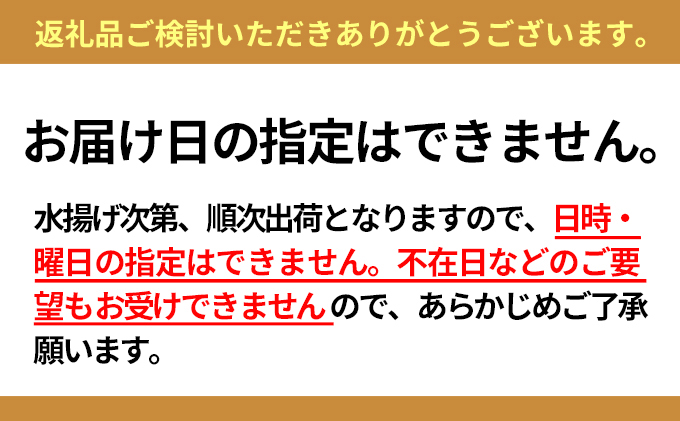 【配送日時・曜日指定不可】小川商店の無添加塩水ウニ100gと北海道産ほたて1kg