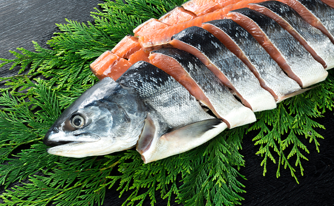 噴火湾産低温熟成新巻鮭切り身　約2.4kg　16切入　