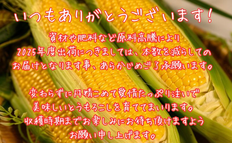 北海道産 とうもろこし 恵味 ゴールド 2L 8本 8月下旬～9月末頃お届け 朝採り 恵味 めぐみトウモロコシ スイート コーン 甘い 新鮮 先行受付 夏 野菜 産地直送 塩田農園 送料無料 北海道 洞爺湖町