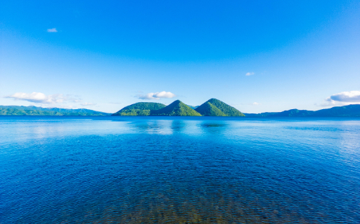 使途は町にお任せ