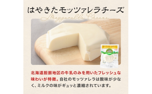 【世界チーズコンテスト受賞】夢民舎はやきたチーズ大人気セット【配送不可地域：離島】【1468533】