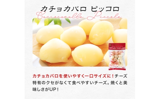 【世界チーズコンテスト受賞】夢民舎はやきたチーズ大人気セット【配送不可地域：離島】【1468533】