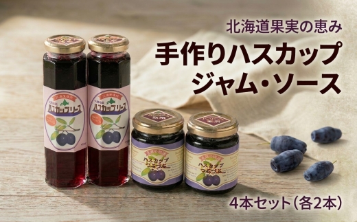 【北海道果実の恵み】手作りハスカップジャム・ソース4本セット【1430909】