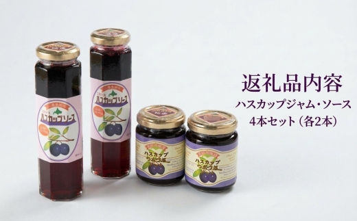 縲仙圏豬キ驕捺棡螳溘ョ諱オ縺ソ縲第焔菴懊j繝上せ繧ォ繝繝励ず繝」繝繝サ繧ス繝シ繧ケ4譛ャ繧サ繝繝医1430909縲