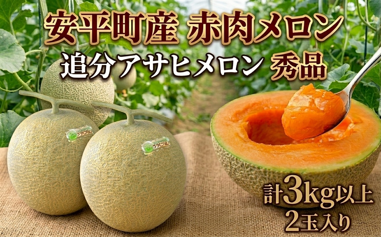 追分アサヒメロン〔秀品〕2玉(5玉サイズ)【JAとまこまい広域取扱 安平町特産品】【1395534】
