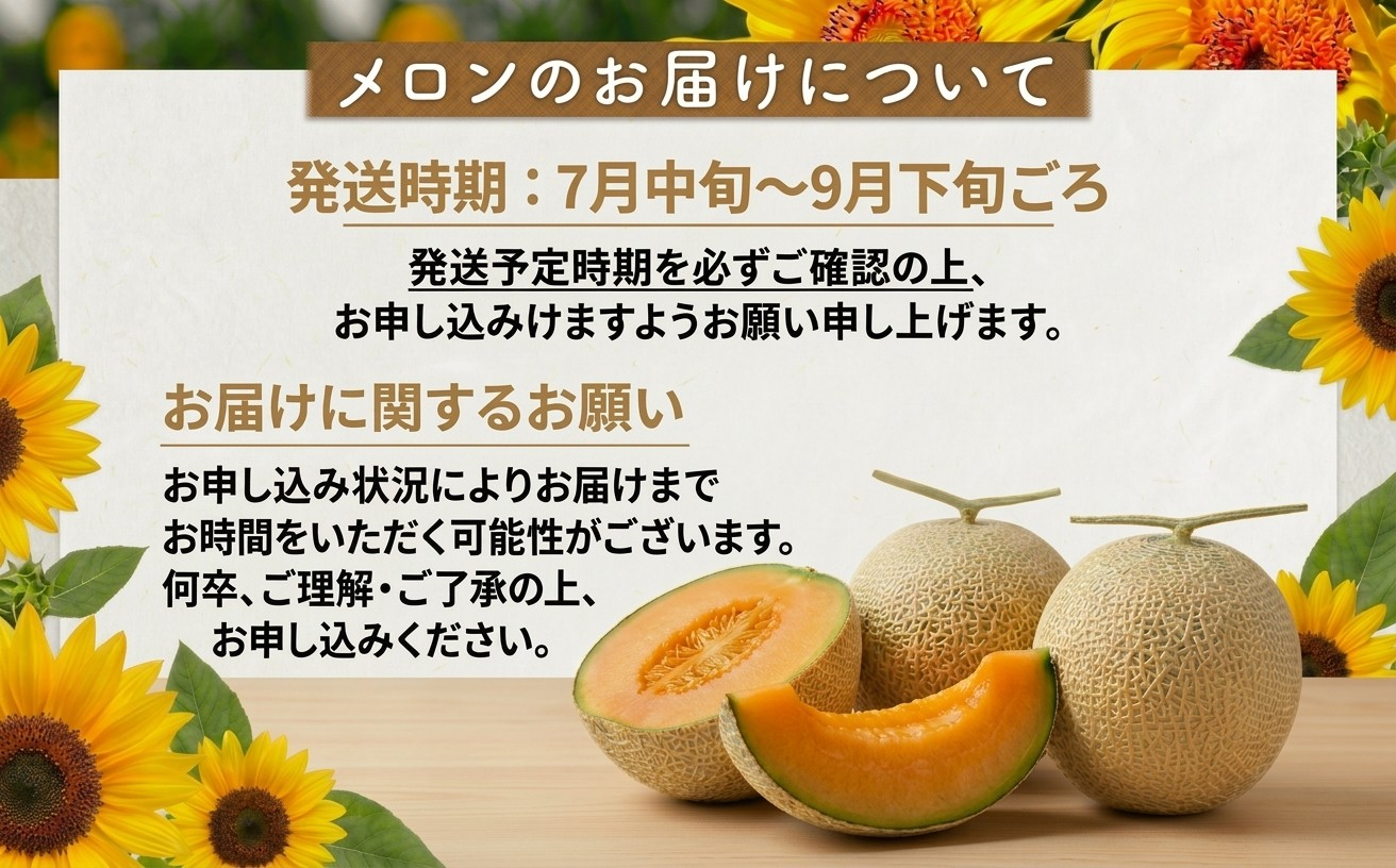 追分アサヒメロン〔秀品〕2玉(5玉サイズ)【JAとまこまい広域取扱 安平町特産品】【1395534】
