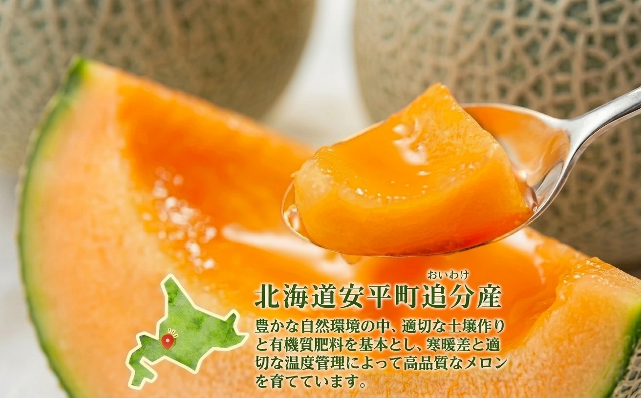 追分アサヒメロン〔秀品〕2玉(5玉サイズ)【JAとまこまい広域取扱 安平町特産品】【1395534】