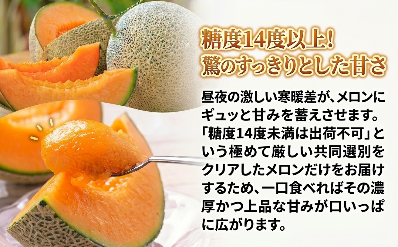 追分アサヒメロン〔秀品〕2玉(5玉サイズ)【JAとまこまい広域取扱 安平町特産品】【1395534】