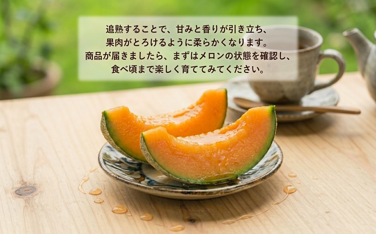 追分アサヒメロン〔秀品〕2玉(5玉サイズ)【JAとまこまい広域取扱 安平町特産品】【1395534】