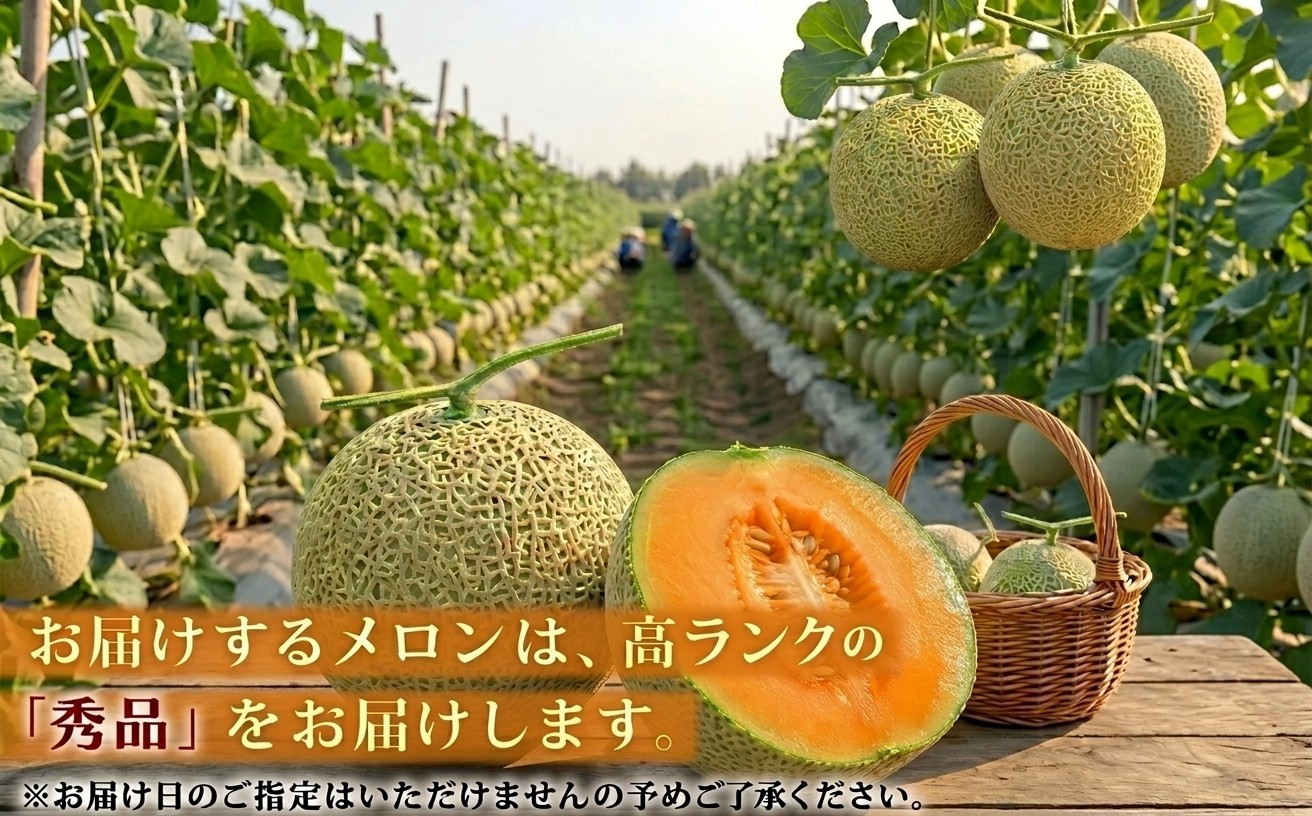 追分アサヒメロン〔秀品〕2玉(5玉サイズ)【JAとまこまい広域取扱 安平町特産品】【1395534】