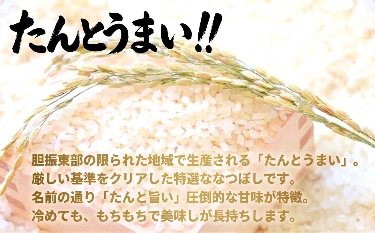 縲蝉サ、蜥7蟷エ逕」縲代◆繧薙→縺縺セ縺 縺ェ縺ェ縺、縺シ縺 15kg 縲辱A縺ィ縺セ縺薙∪縺蠎蝓溷叙謇ア 螳牙ケウ逕コ迚ケ逕」蜩√代1340421縲