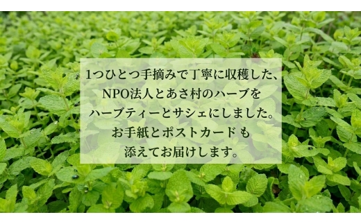 とあさ村ハーブレターセット【1230722】
