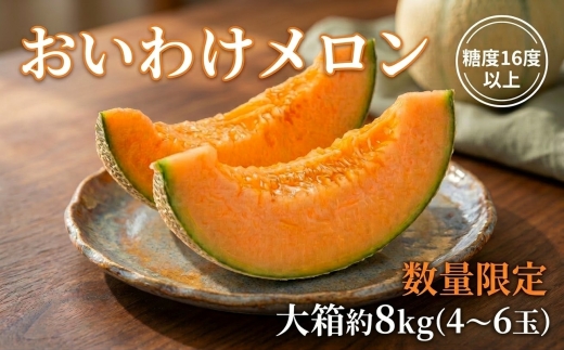 【数量限定】おいわけメロンパック 糖度16度以上 大箱約8kg(4～6玉)【1226767】