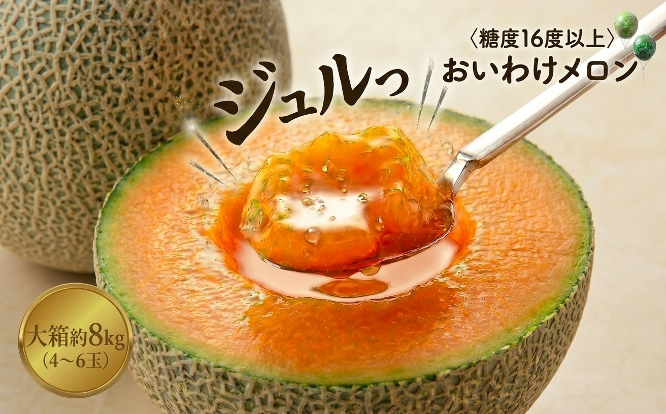 ＜数量限定＞おいわけメロン 糖度16度以上 大箱約8kg(4～6玉)_ メロン めろん 赤肉 赤肉メロン おいわけメロン 追分 数量限定 北海道 果物 くだもの フルーツ デザート 甘い 糖度 贈答 ギフト プレゼント 国産 産直 産地直送 送料無料 【1226767】
