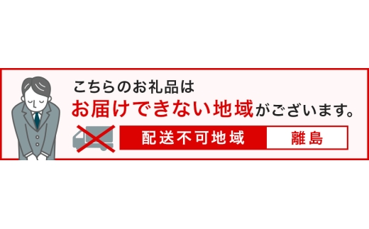 【数量限定】 おいわけメロン 糖度16度以上　1.6kg以上×2玉入【1082977】