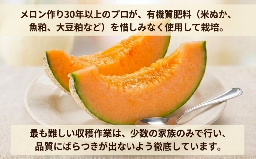【数量限定】 おいわけメロン 糖度16度以上　1.6kg以上×2玉入【1082977】
