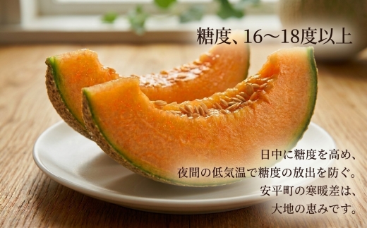 【数量限定】 おいわけメロン 糖度16度以上　1.6kg以上×2玉入【1082977】