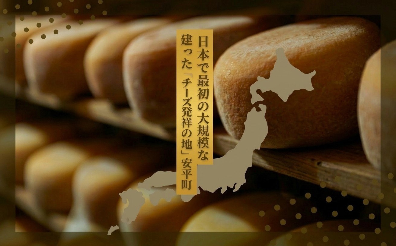 夢民舎　北海道ブルーチーズケーキ【配送不可地域：離島】【1658665】