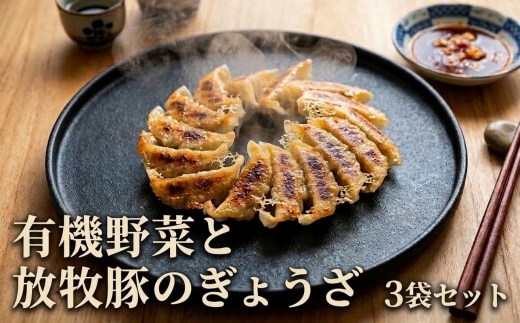 有機野菜と放牧豚のぎょうざ3袋セット【配送不可地域：離島】【1518870】