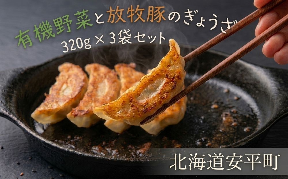 有機野菜と放牧豚のぎょうざ3袋セット【配送不可地域：離島】【1518870】