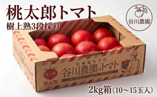 【先行予約】樹上熟3段採り 桃太郎トマト / 正品2kg箱(10～15玉入)【配送不可地域：離島】【1472504】