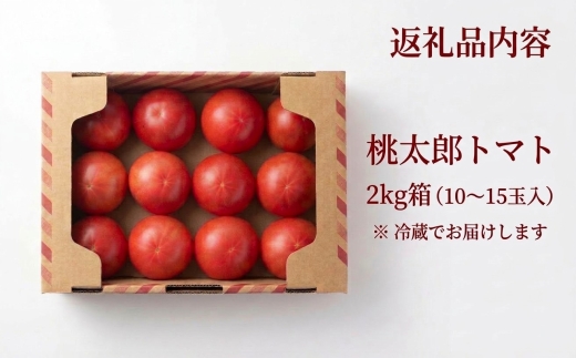 【先行予約】樹上熟3段採り 桃太郎トマト / 正品2kg箱(10～15玉入)【配送不可地域：離島】【1472504】