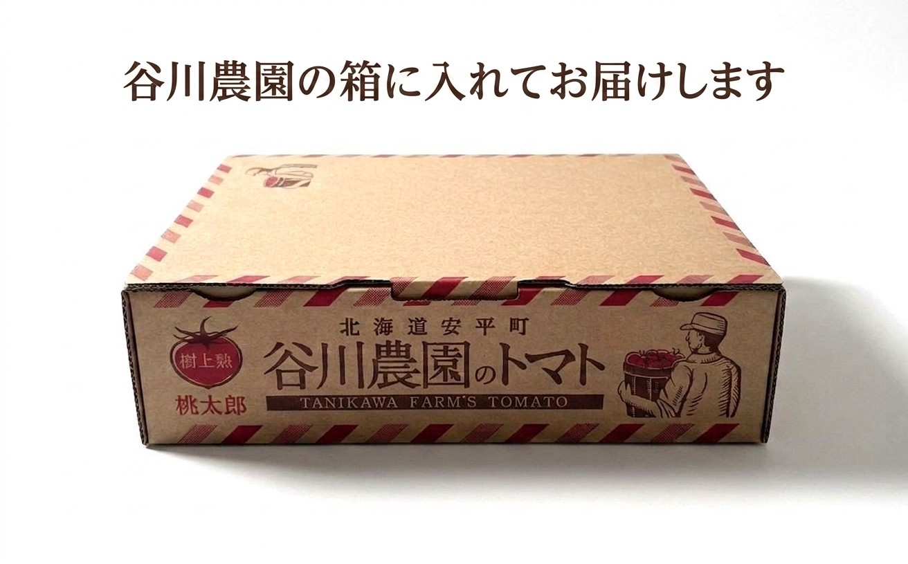 【先行予約】樹上熟3段採り 桃太郎トマト / 正品2kg箱(10～15玉入)【配送不可地域：離島】【1472504】