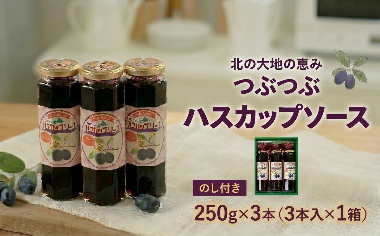 【のし付き】【北の大地の恵み】つぶつぶハスカップソース　ギフトセット　250g×3本【1023465】