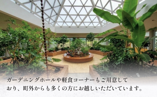 縺ャ縺上b繧翫ョ貉ッ蜈・豬エ蛻ク(6譫)縲1000075縲