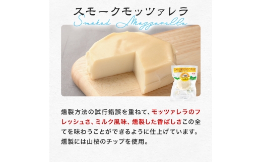 高評価! ナチュラルチーズコンテスト受賞! 夢民舎ブランド はやきたチーズ色々詰合せセット【配送不可地域：離島】【1001151】